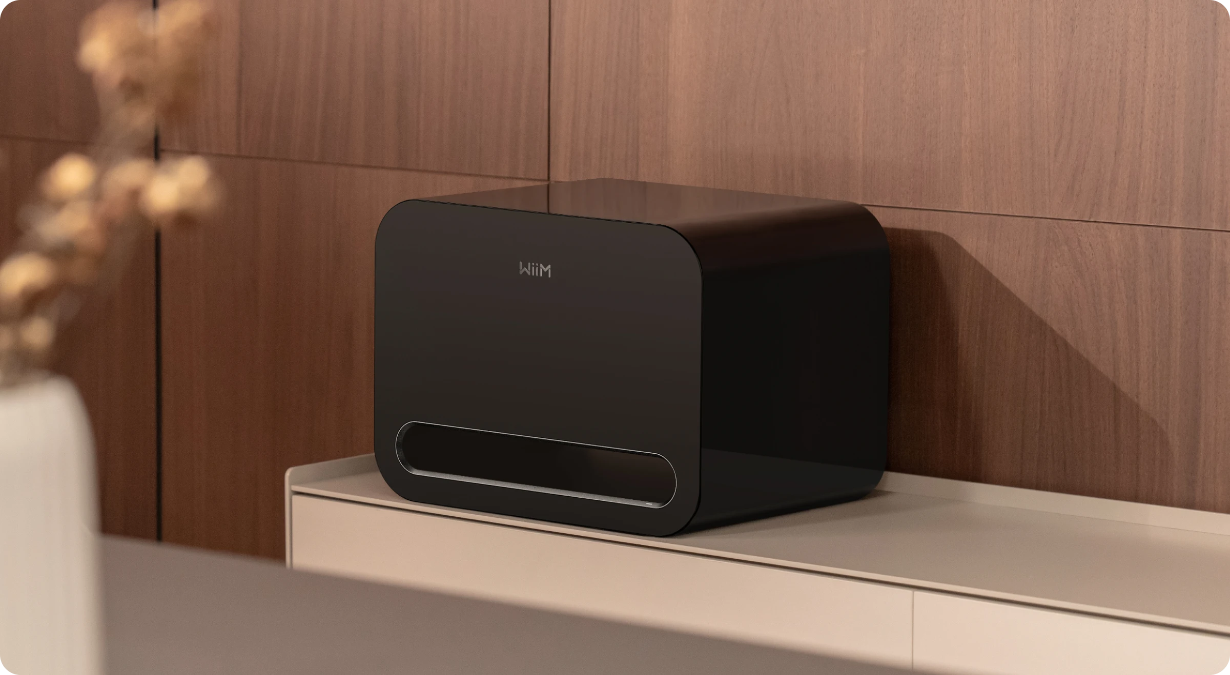 WiiM Sub Pro wireless subwoofer