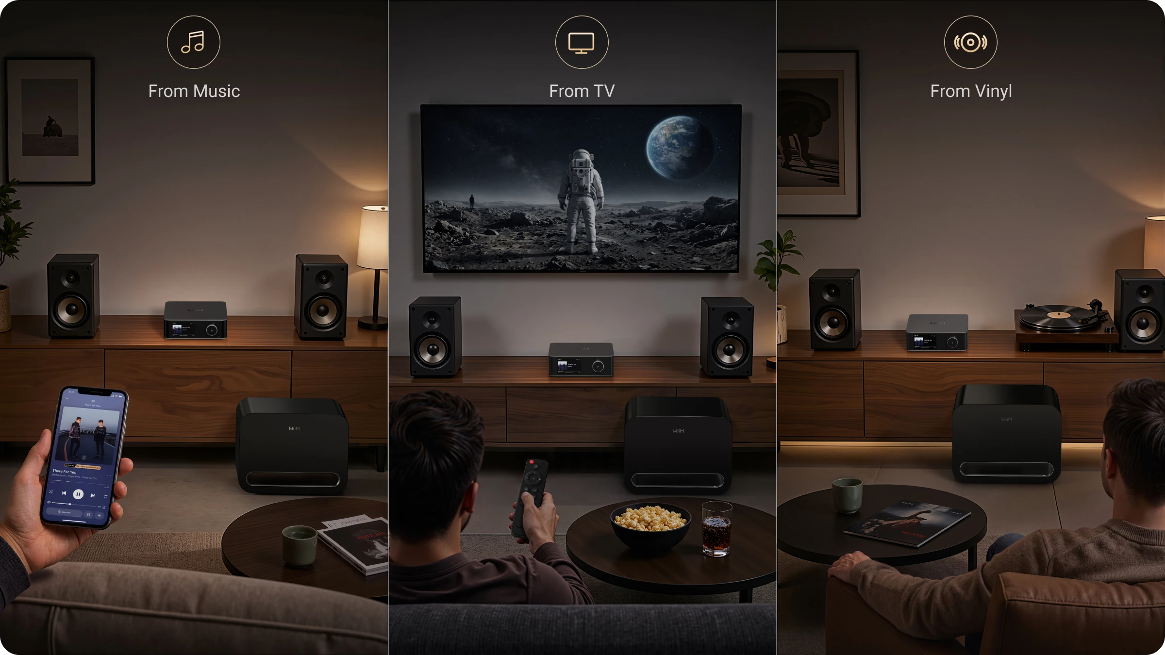 Music, TV, and vinyl in one system