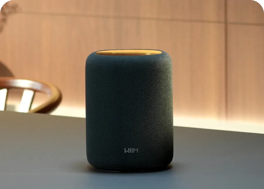 WiiM Sound Lite