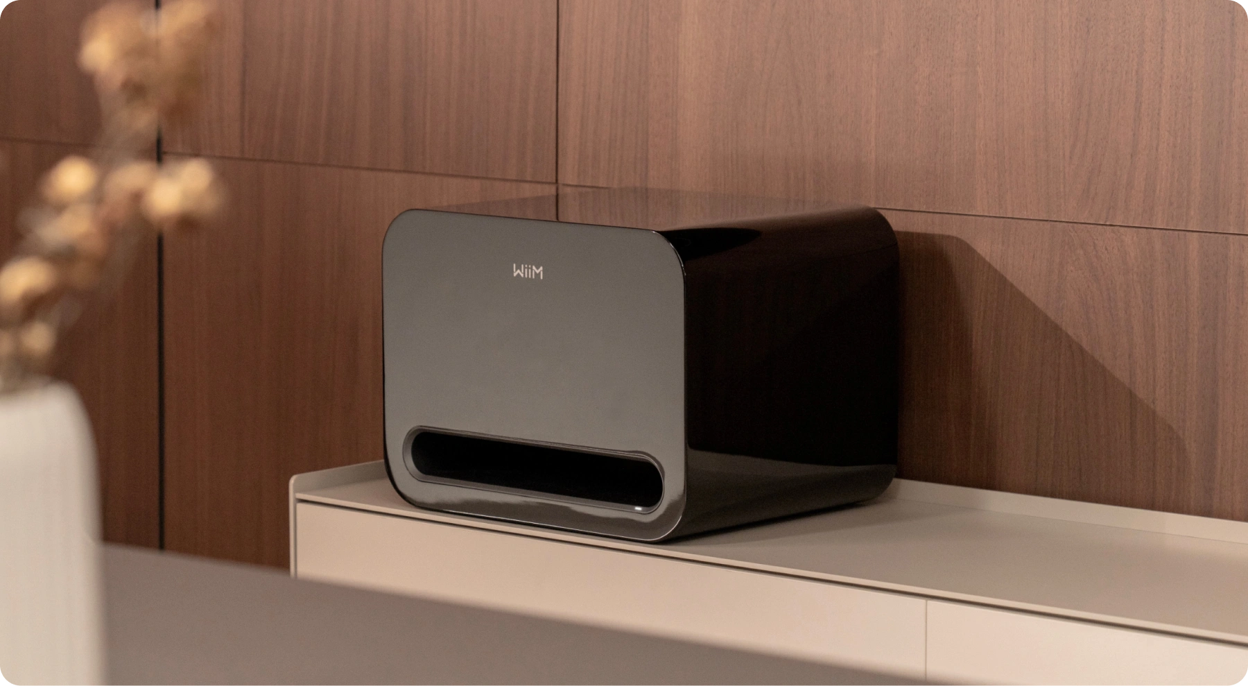WiiM Sub Pro on a media console